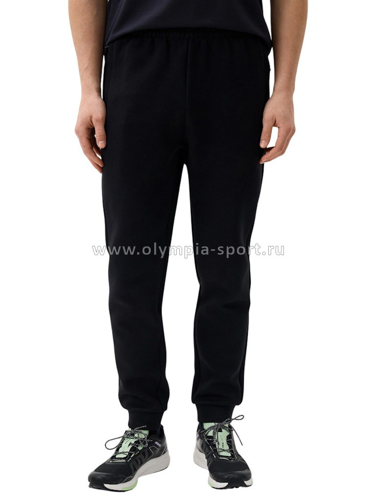 Брюки мужские Strobbs E2379-3 черный